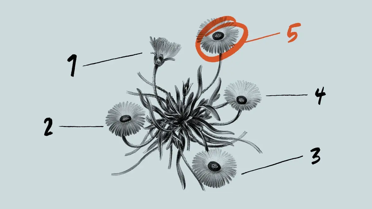 An illustration with 5 flowers representing 5 years of Good Work